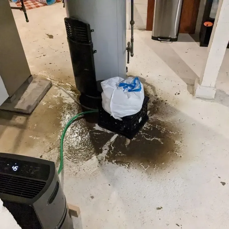 Sewage Backup Cleanup Service in Walsenburg, CO